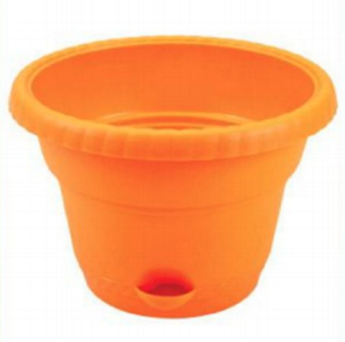 Queen Flower Tub 14"-SW (10L)-TEL