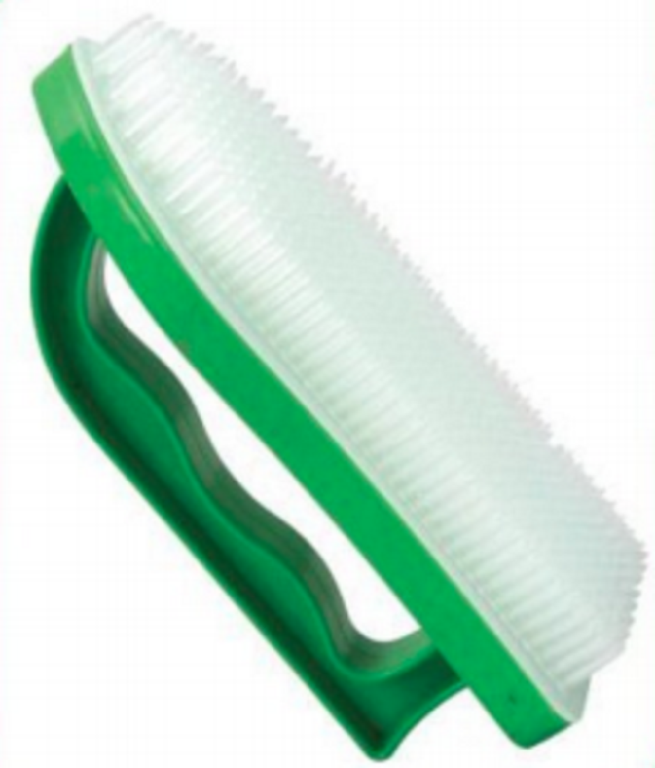 Washing Brush Parrot Green -TEL