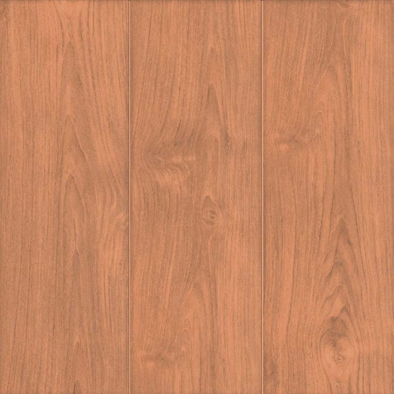 Floor Cleaning (FT 18X18 Ann Brown Ring PM) (AAAB-13584)
