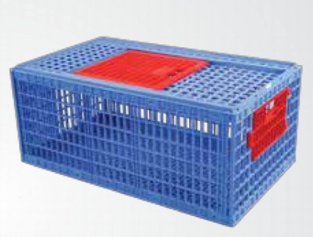 Chicken Case Big - SM Blue