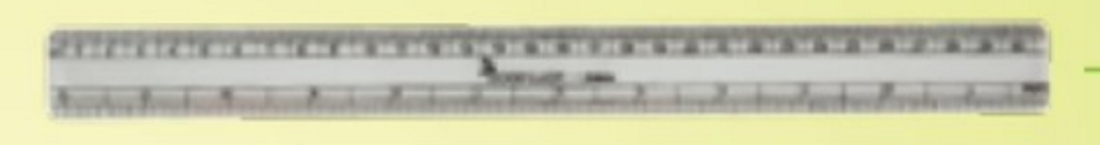 Good Luck Scholar Scale (30cm)