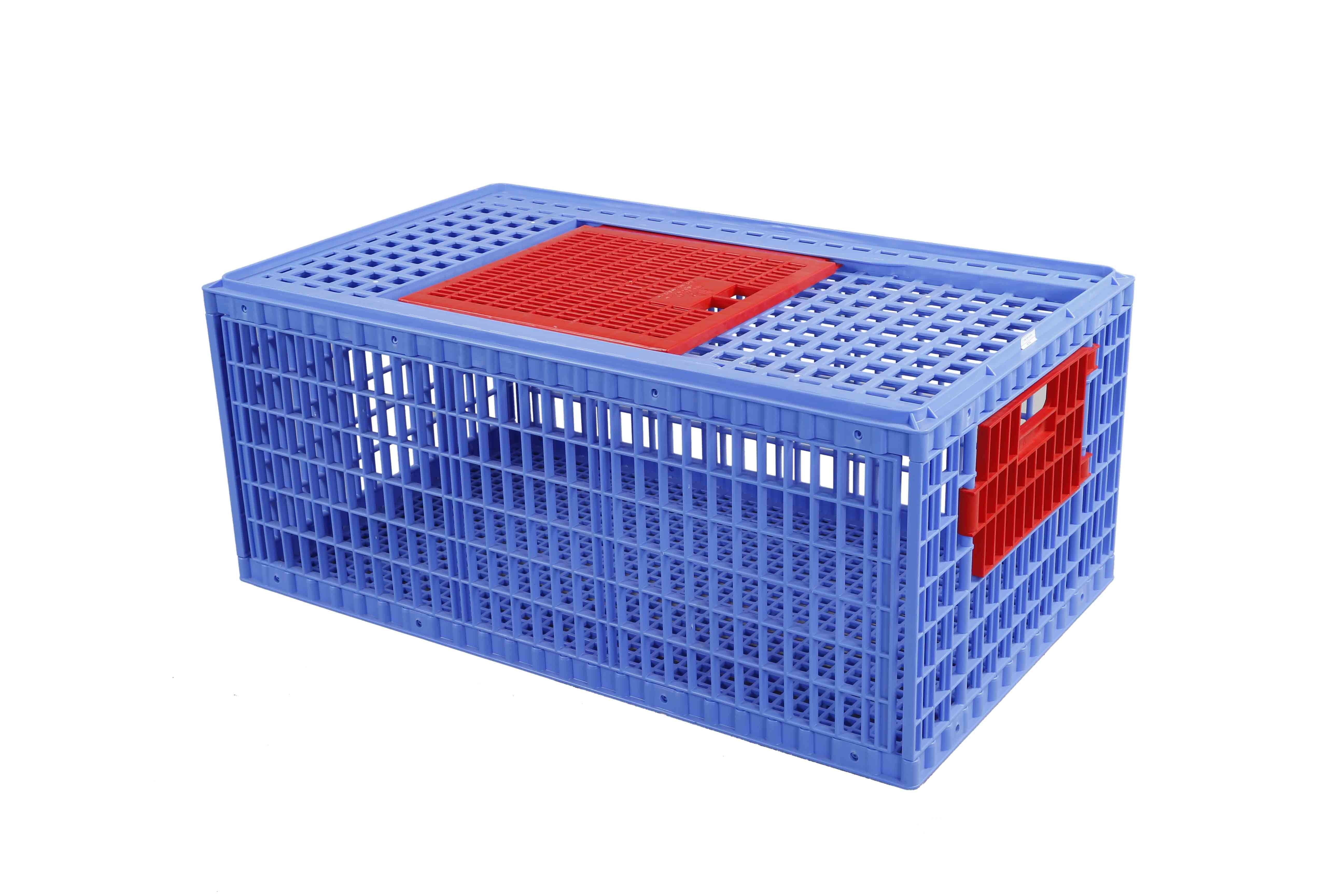 Chicken Case Big - SM Blue