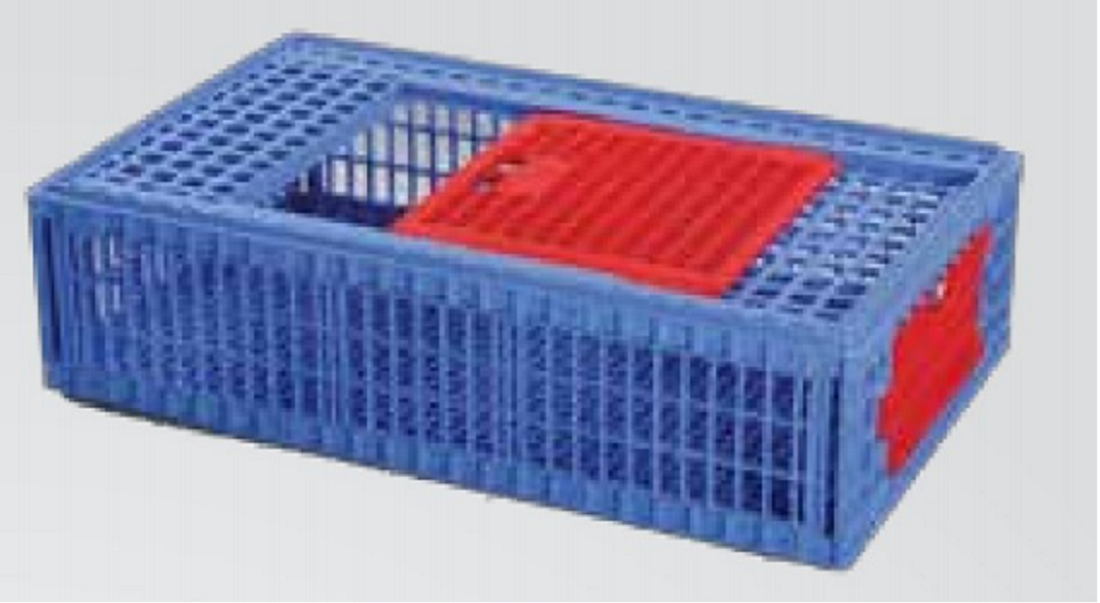 Chicken Case Big - SM Blue