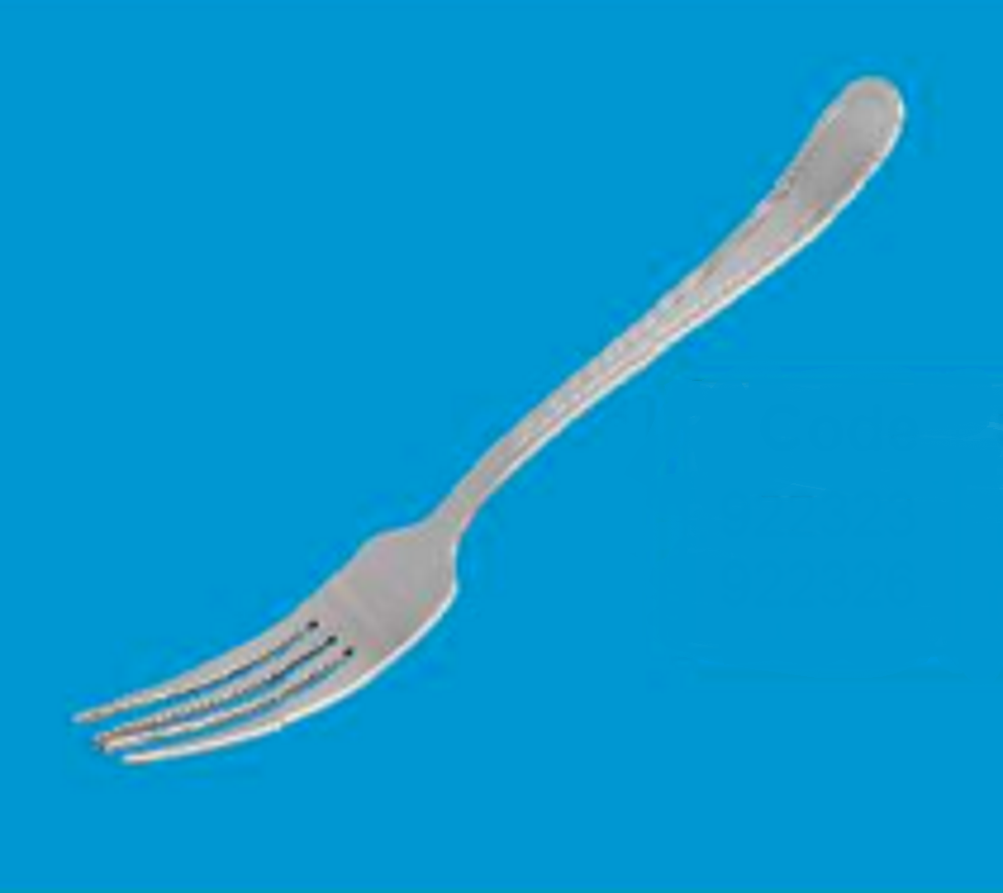 B. SS D. Fork Spn-19 CM-Lily