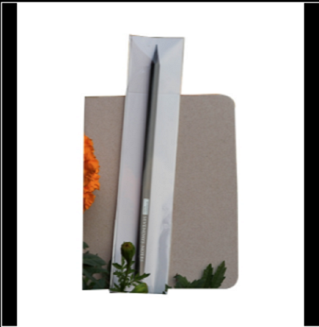Pocket Series Gray Notebook With Pencil