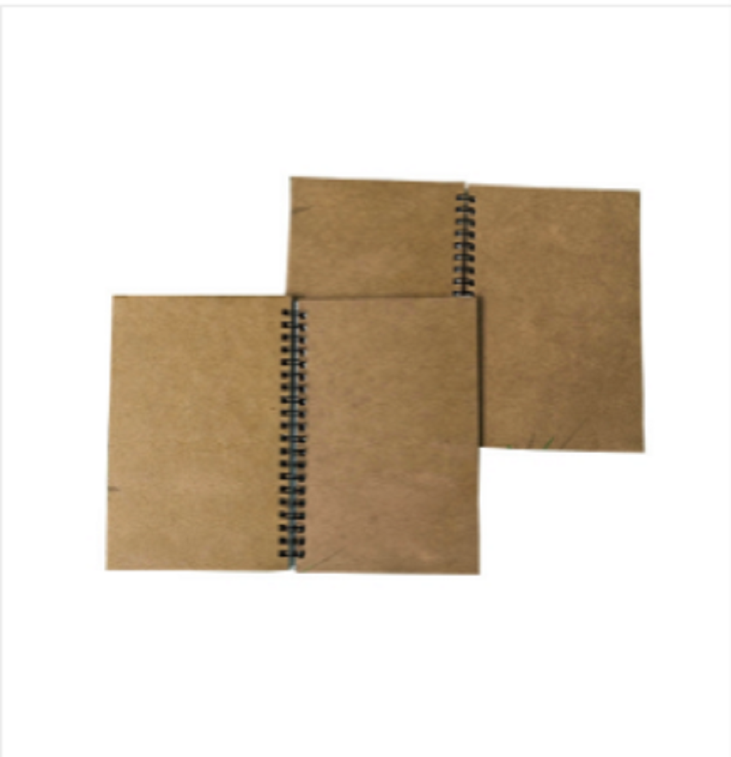 Designer Series Dot-Grid & Graph Or Grid Notebook 2-Pack