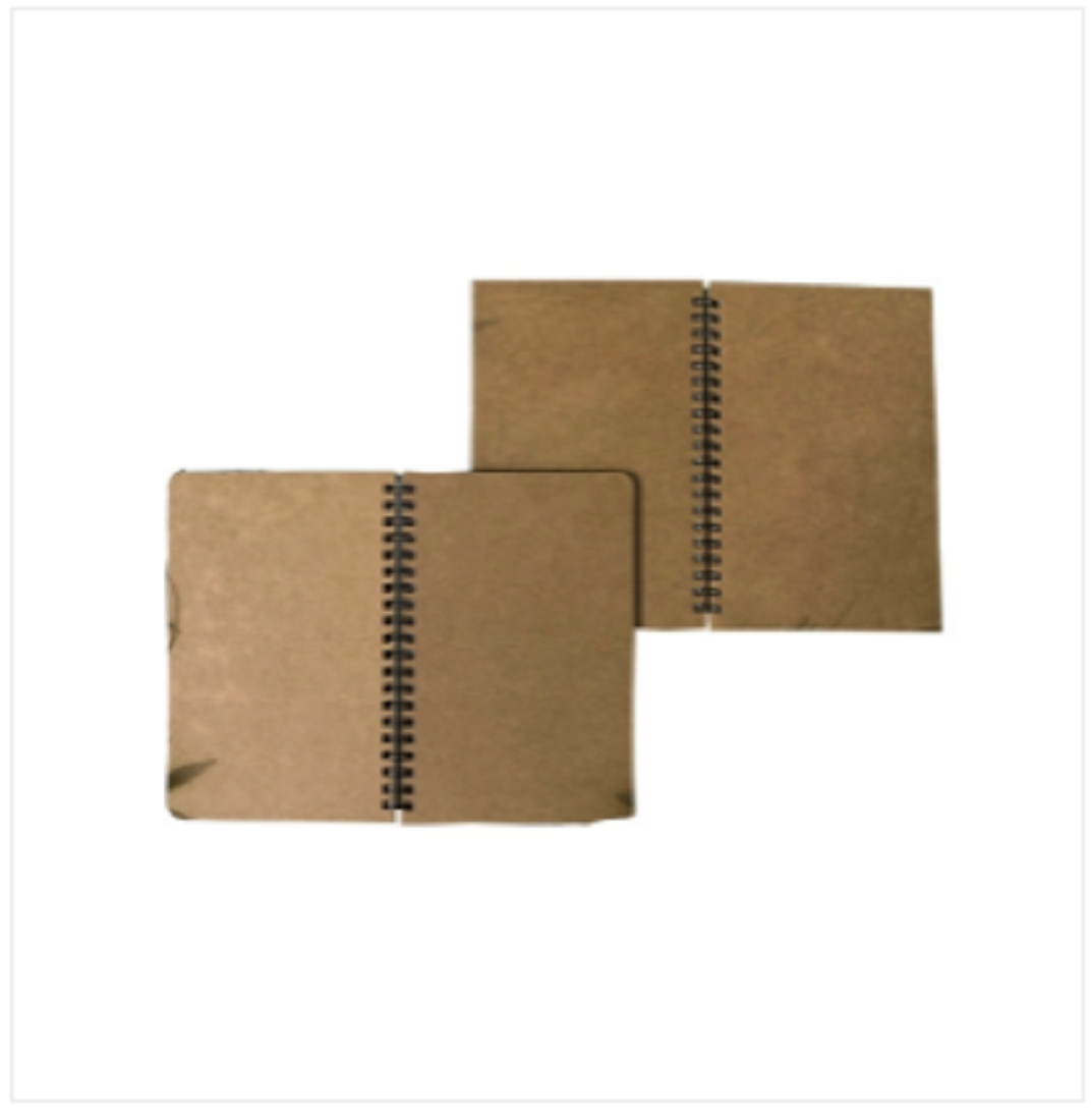 Designer Series Graph Or Grid & Daily Journal Notebook 2-Pack