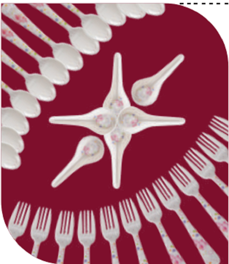 Camellia Soup Spoon 6 Pcs Set Brand: Italiano