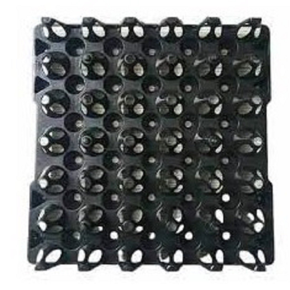 Egg Tray/Case AAAH Code 0665