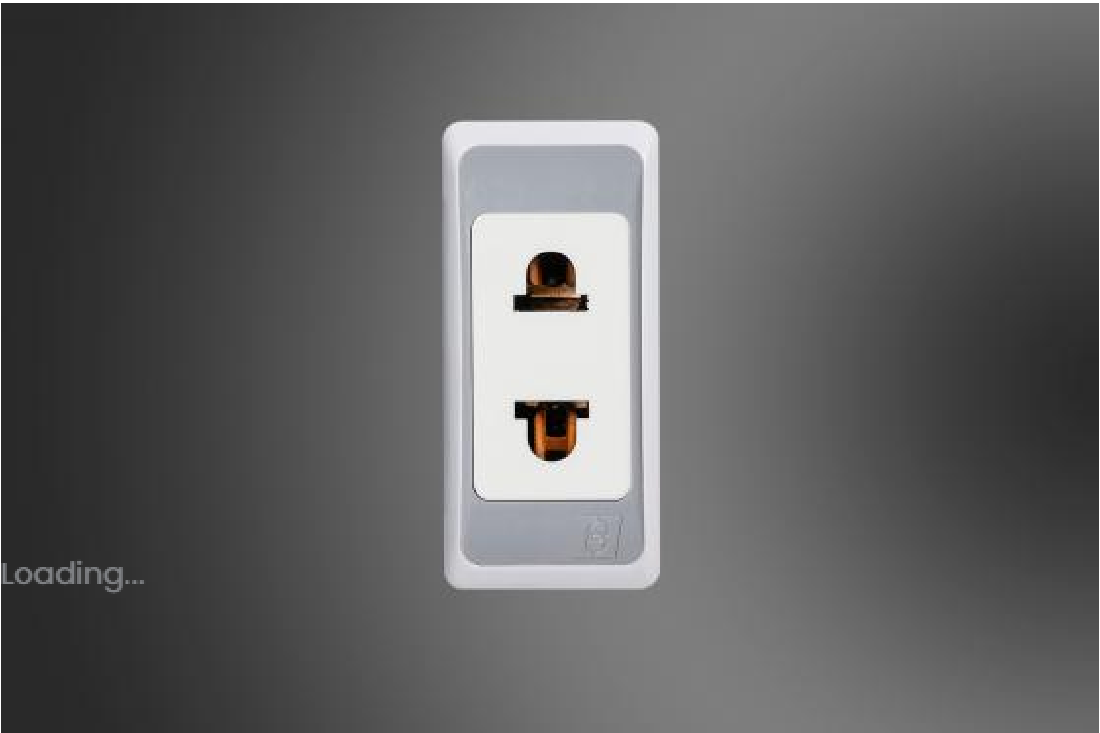 Two Pin Socket (Piano Silver)