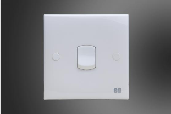 1 Gang 2 Way Switch-EG (E41012)