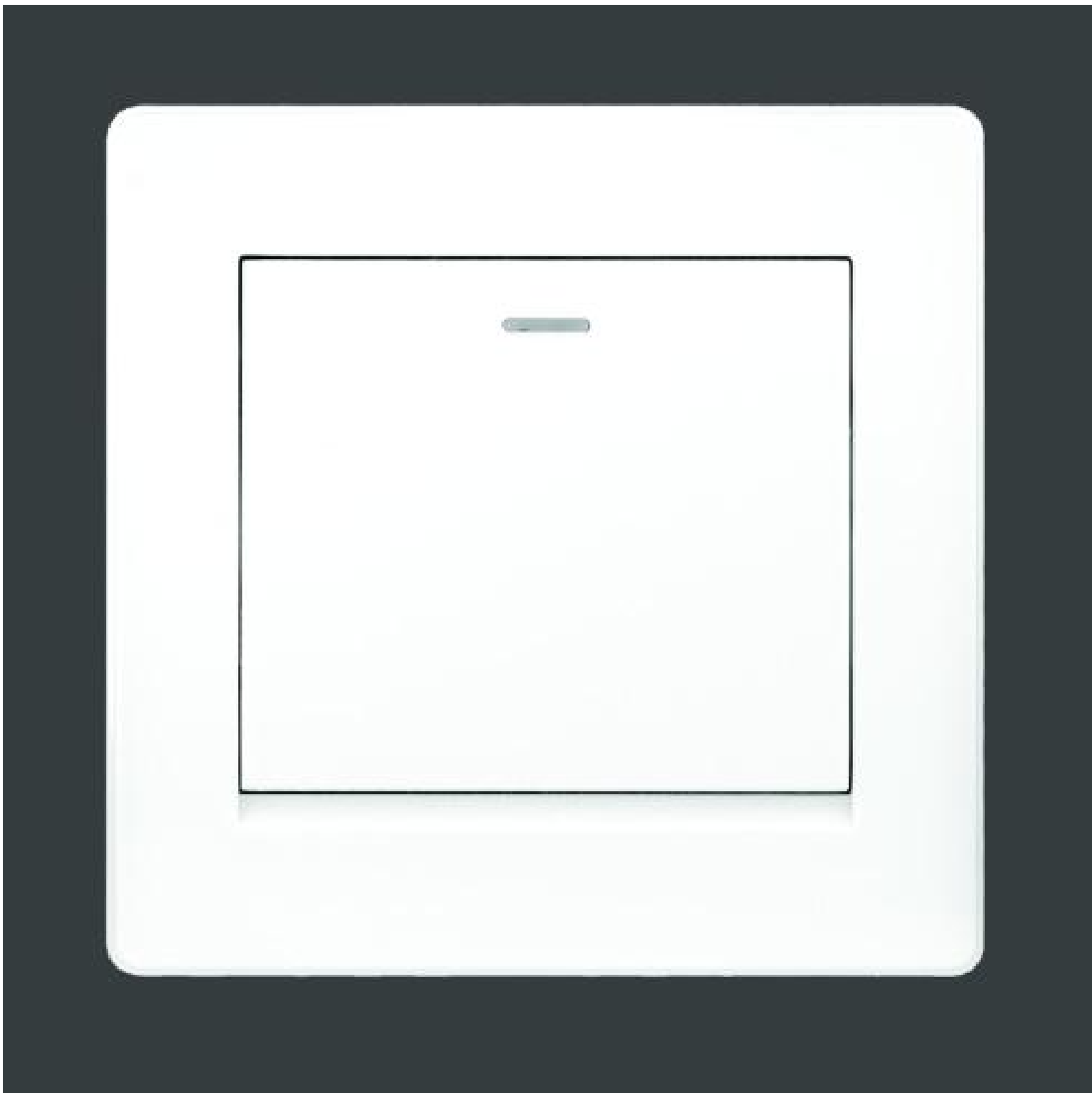 1 Gang 1 Way Switch-White (MGS2001/W)