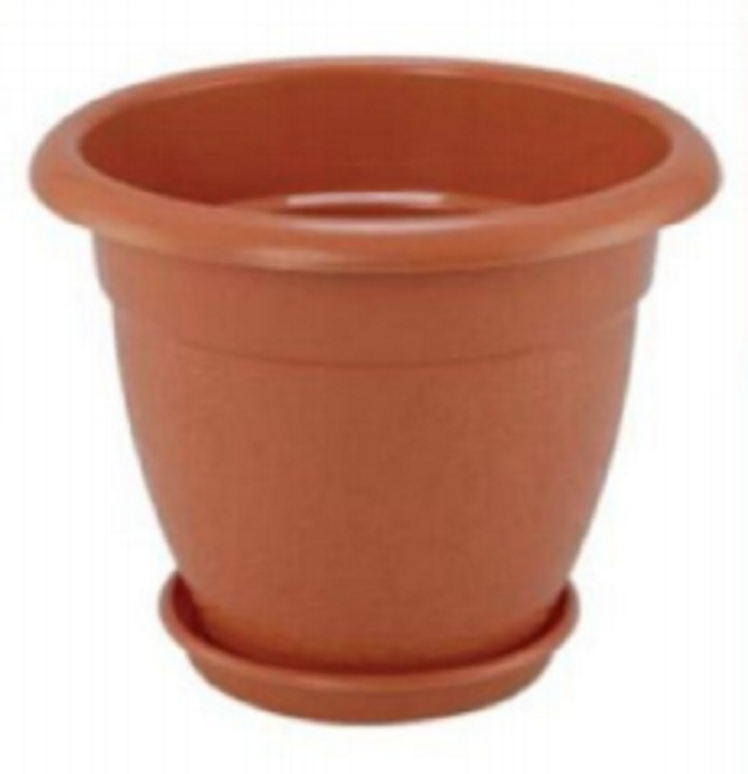 Flower Tub 6" With Tray Rose Wood-TEL