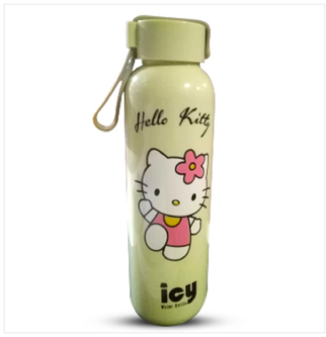 Cyber Water Bottle 550 ML Assorted
